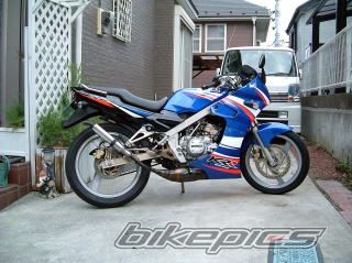 Photo 1328325