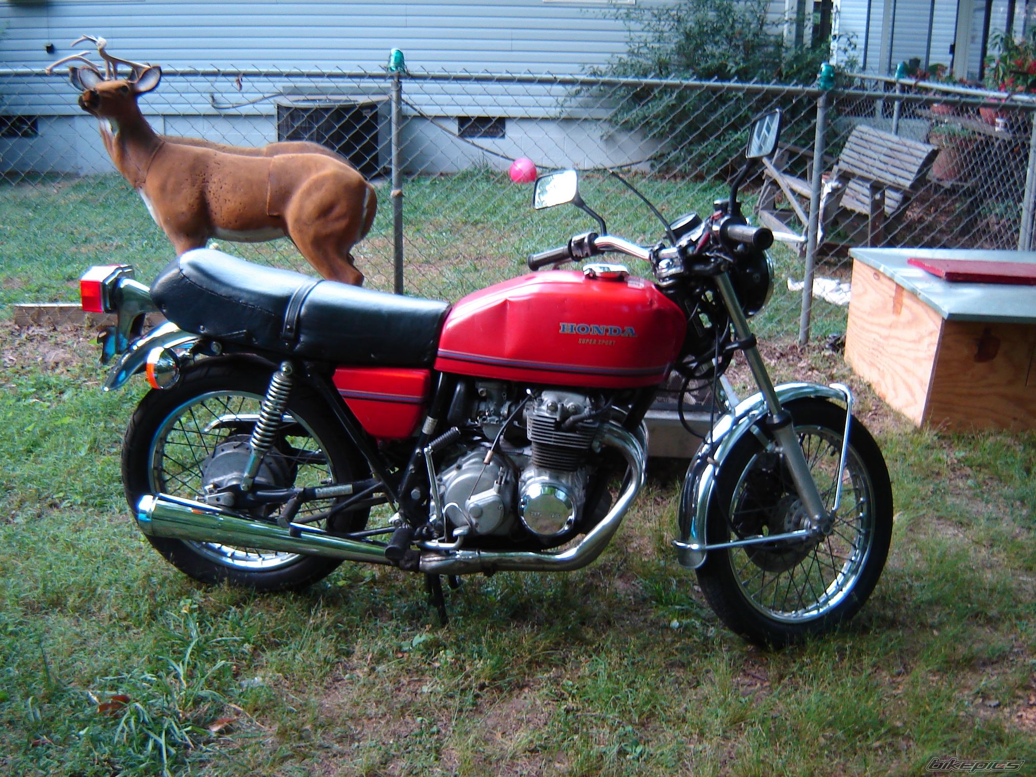 Photo 1328394