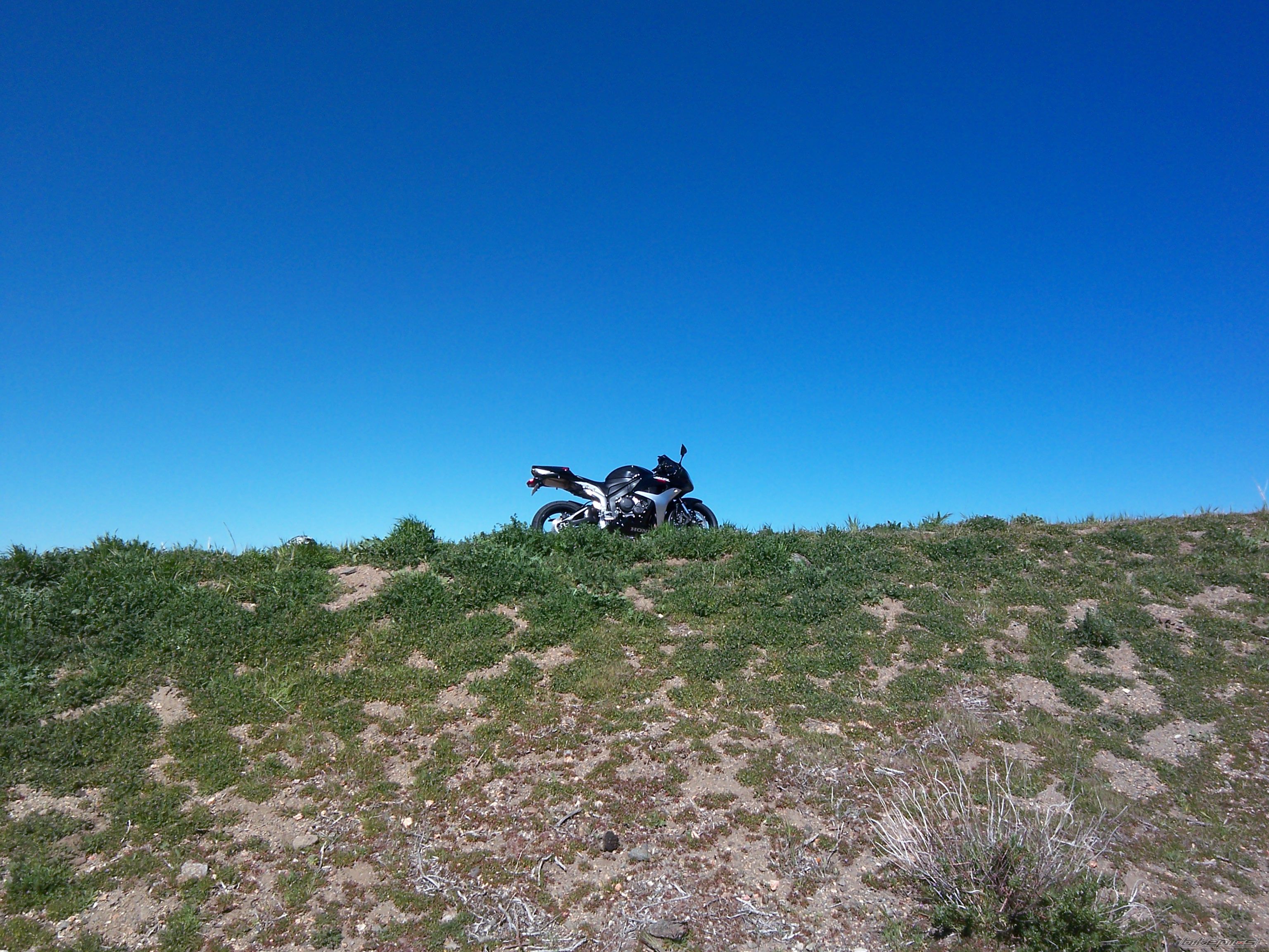 Photo 1328412