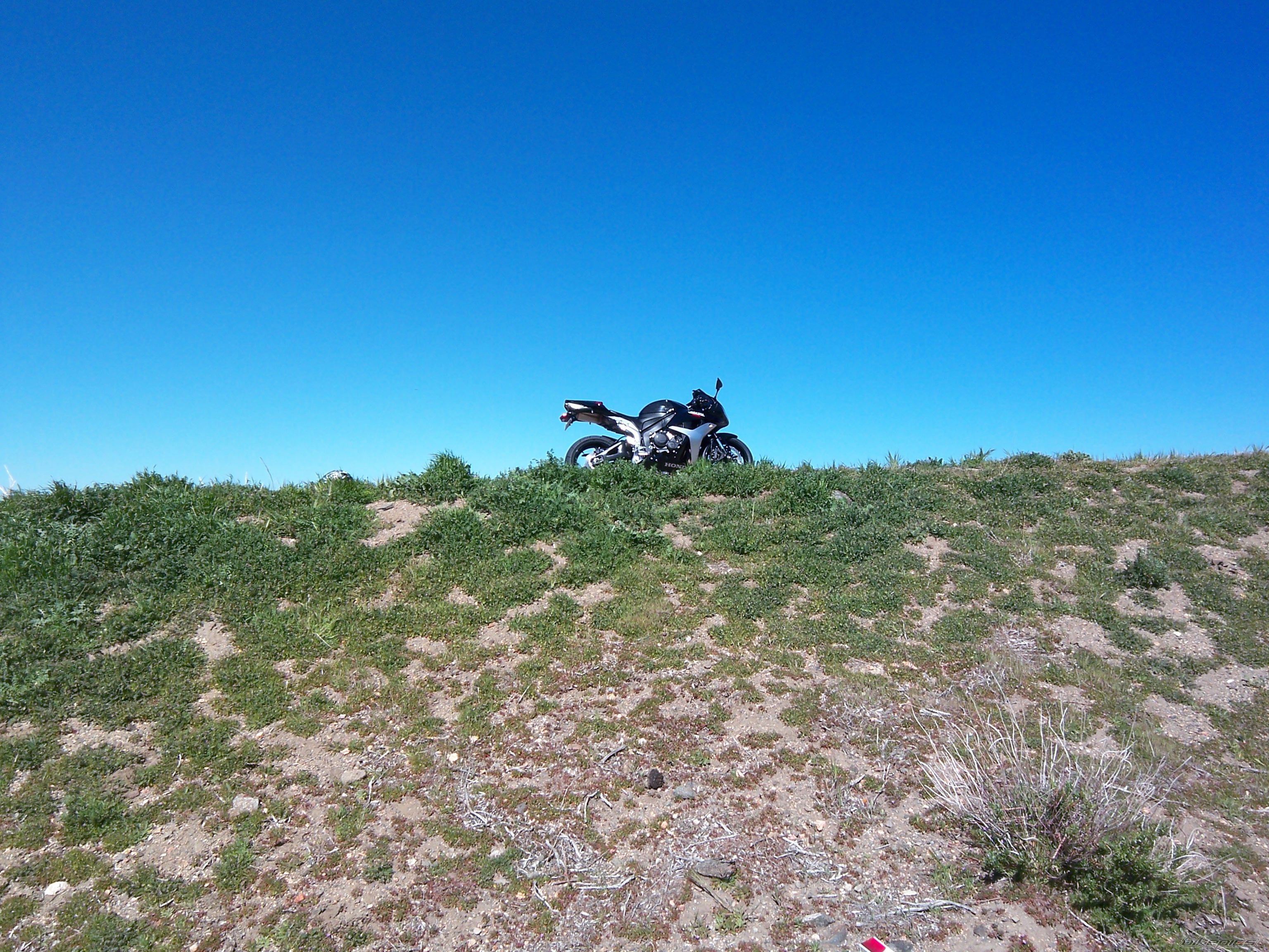 Photo 1328414