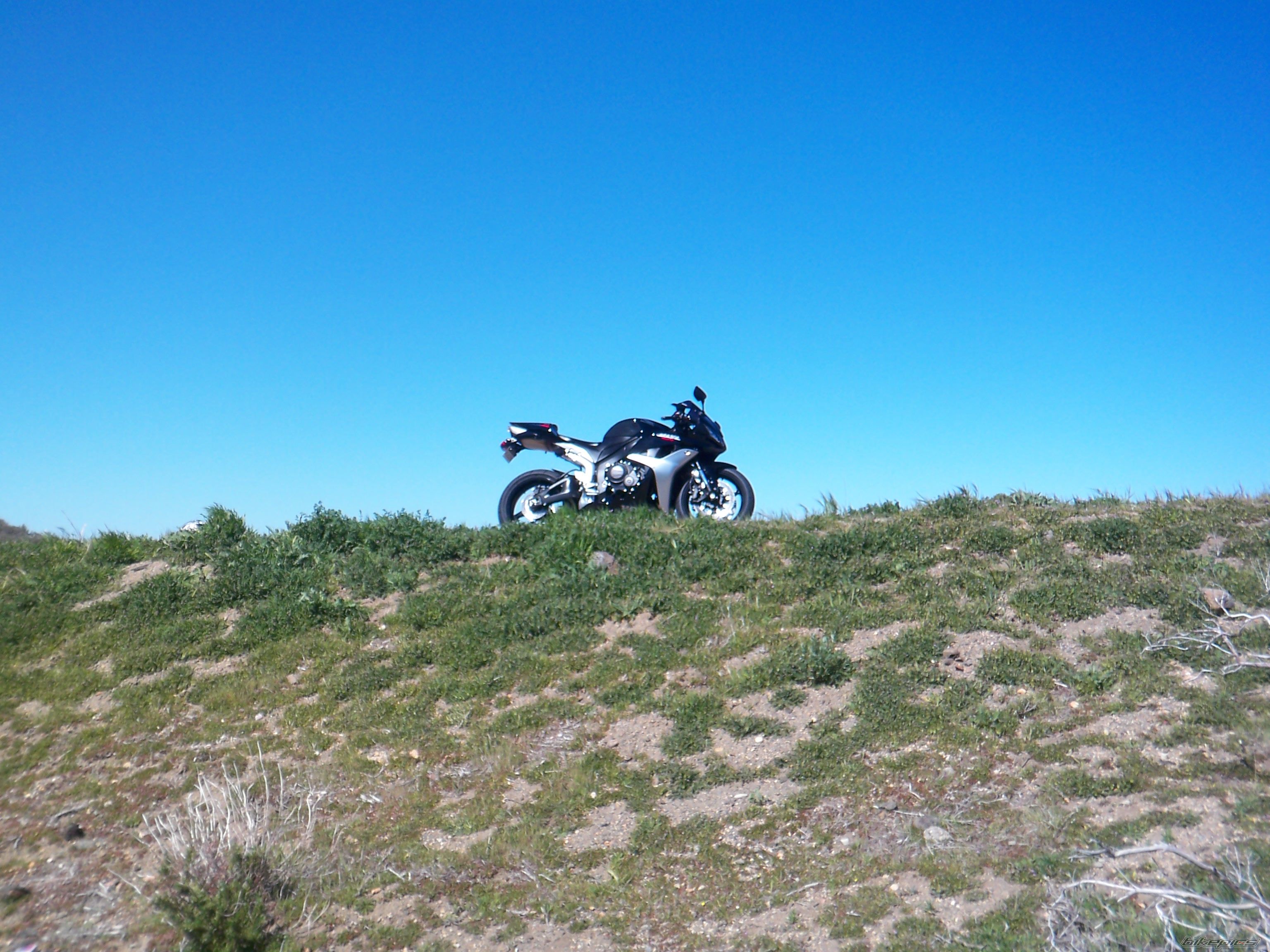 Photo 1328415