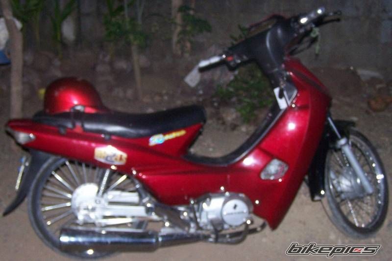 Photo 1328434