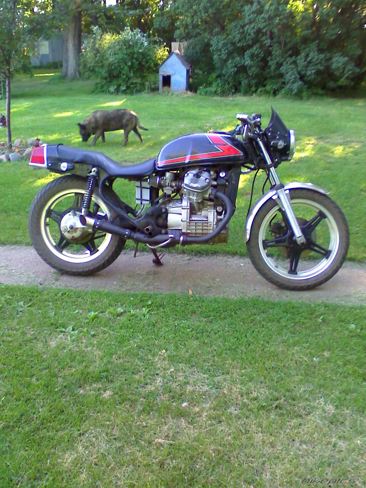 Photo 1328454