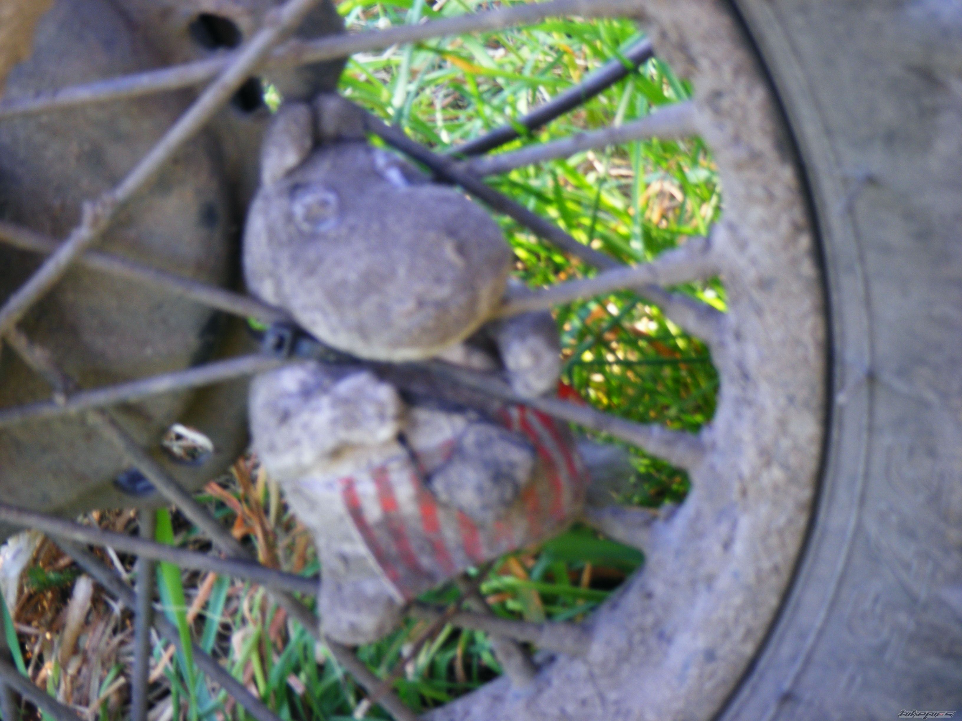 Photo 1328583
