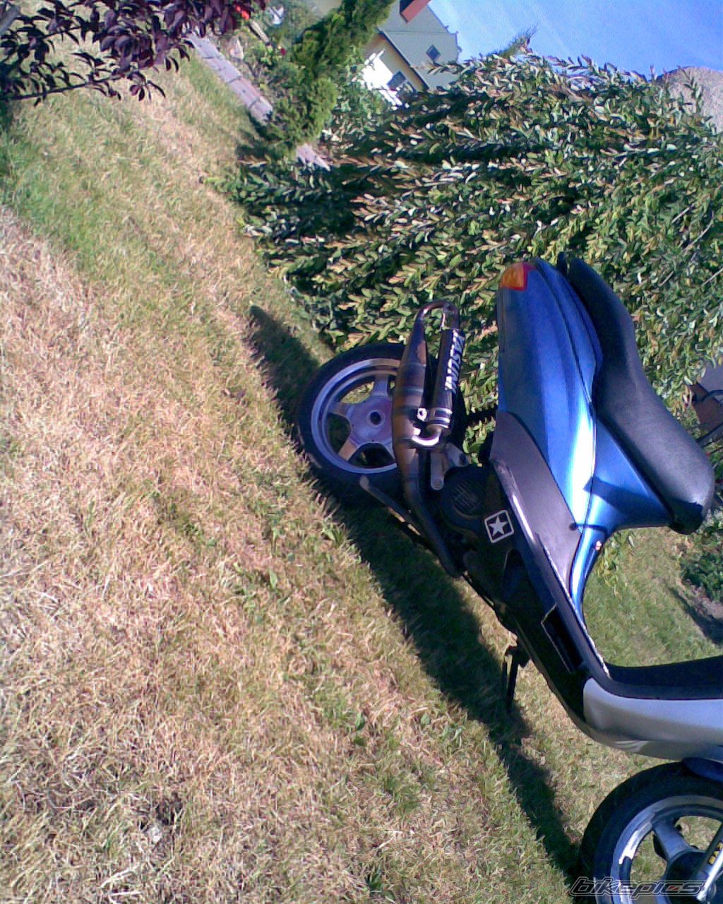 Photo 1328649