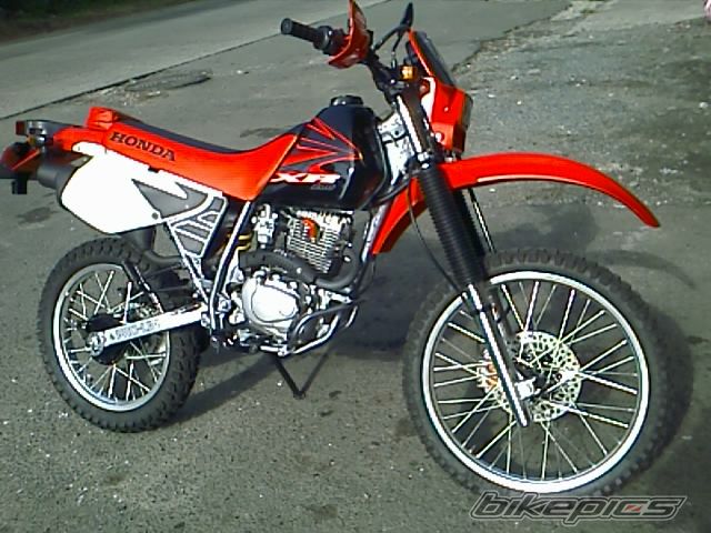 Photo 1329003