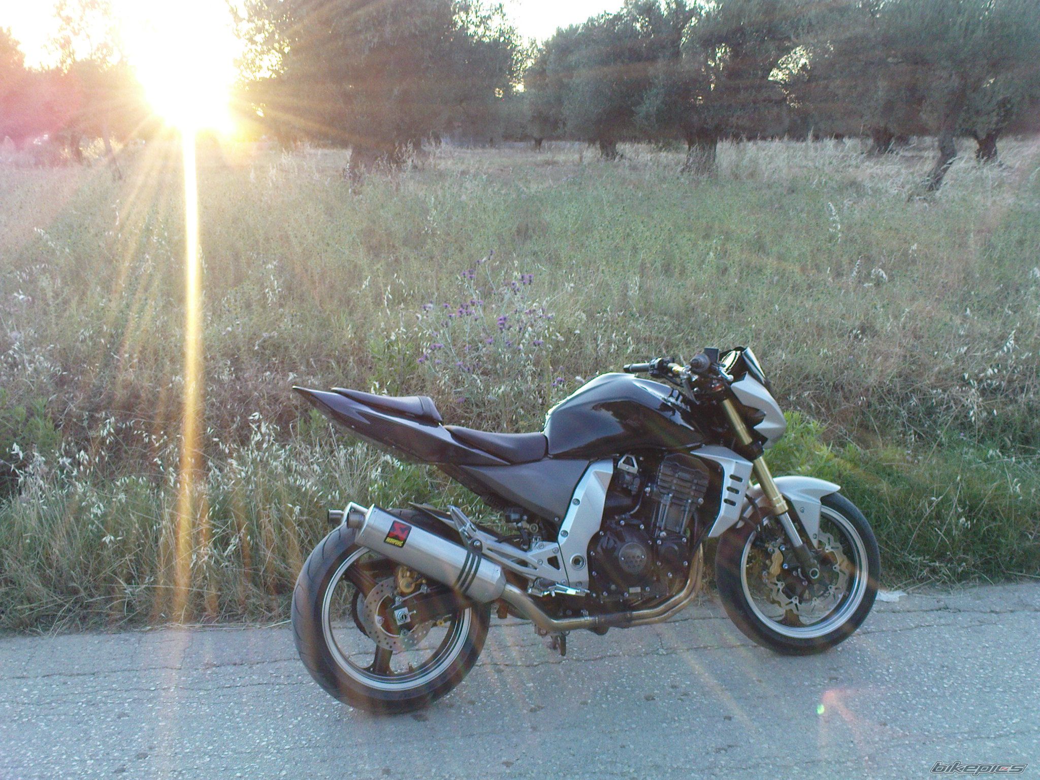 Bike Photo 1329004