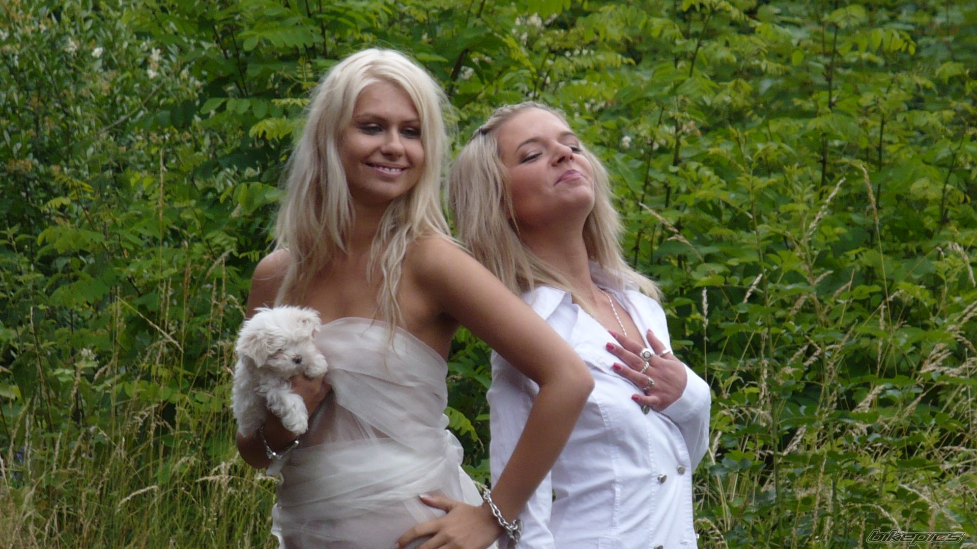 Photo 1329013