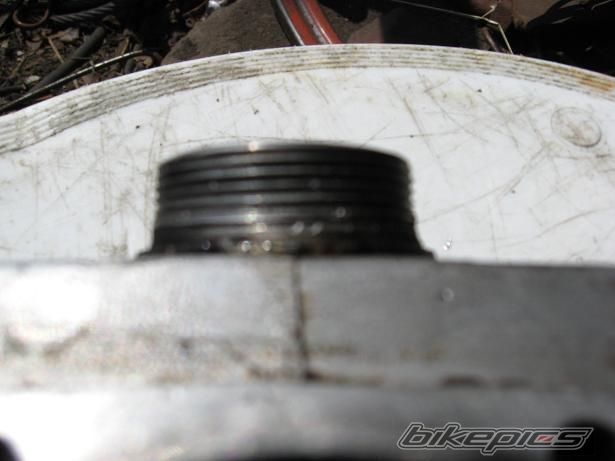 Photo 1329186