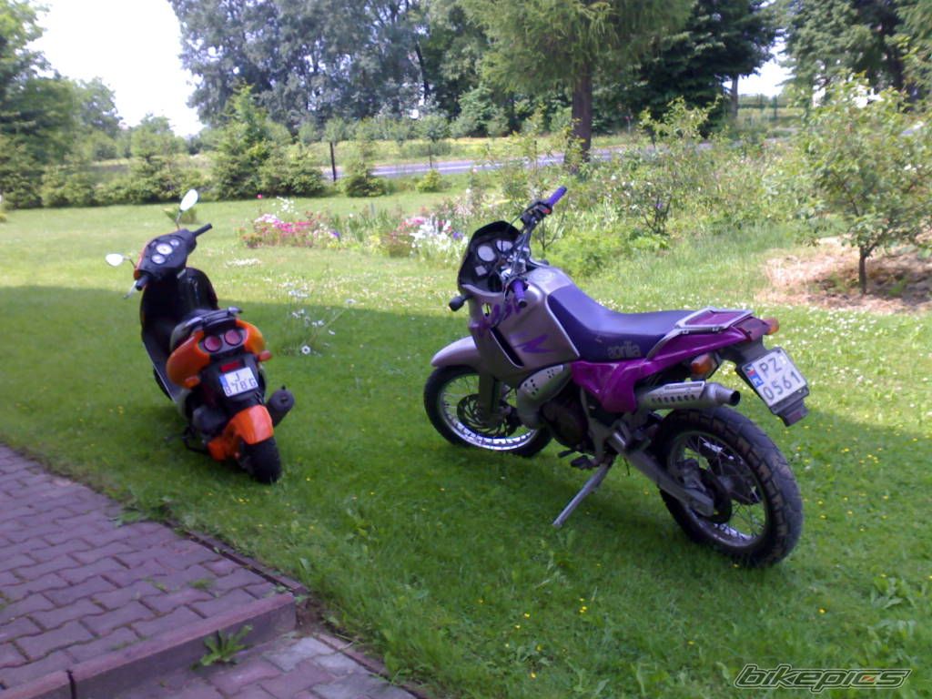 Bike Photo 1329236