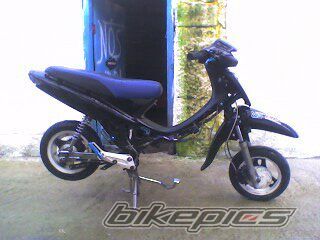 Photo 1329244