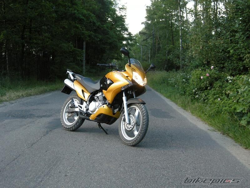 Photo 1329255