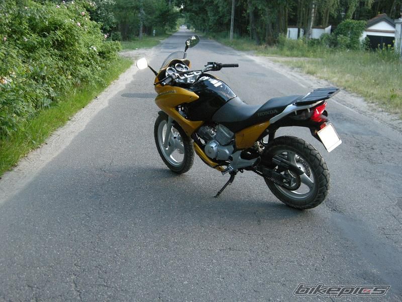 Photo 1329257