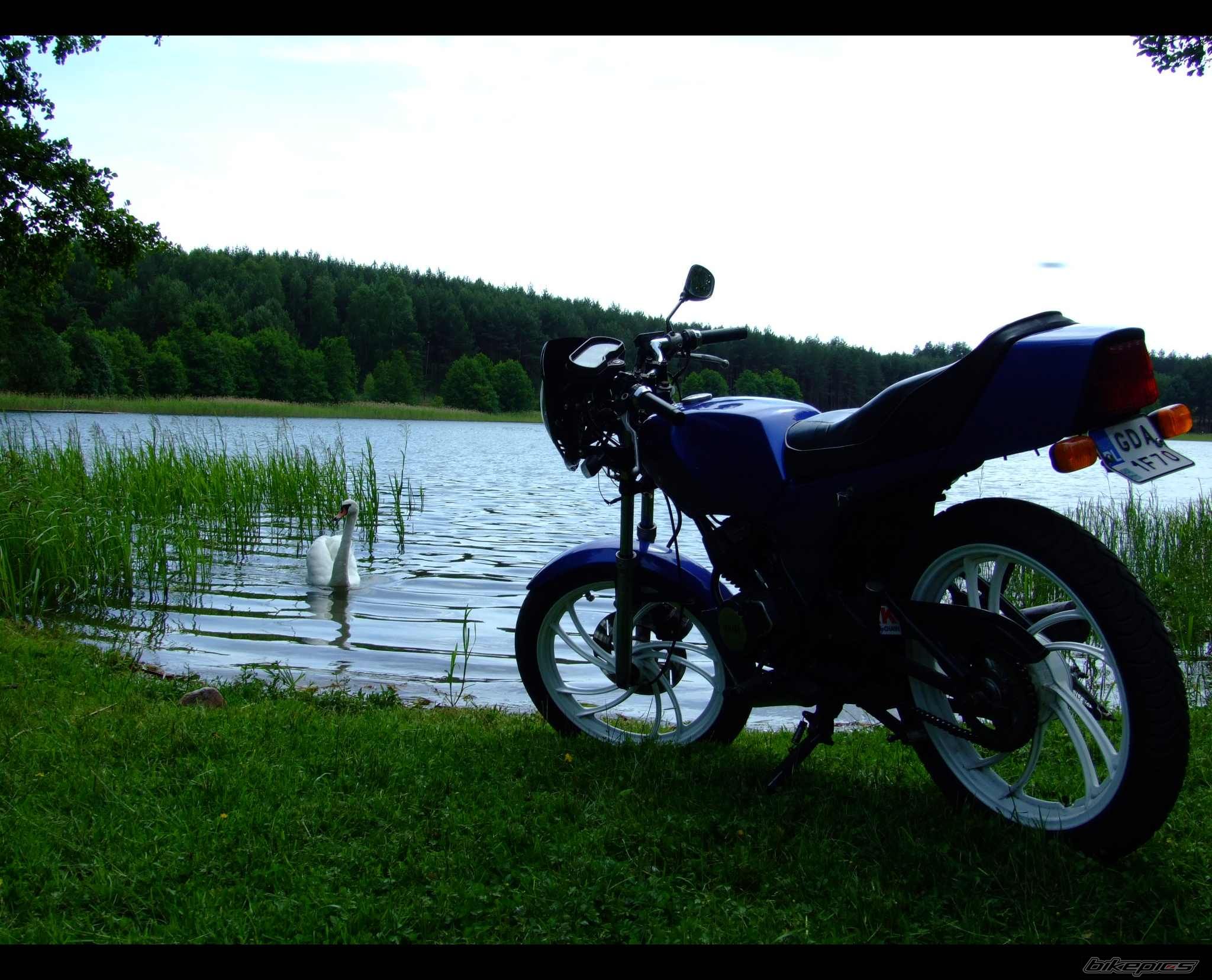 Photo 1329270