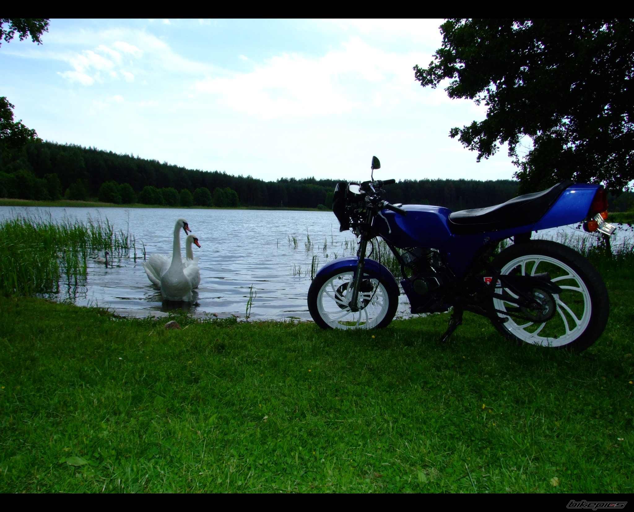 Photo 1329272