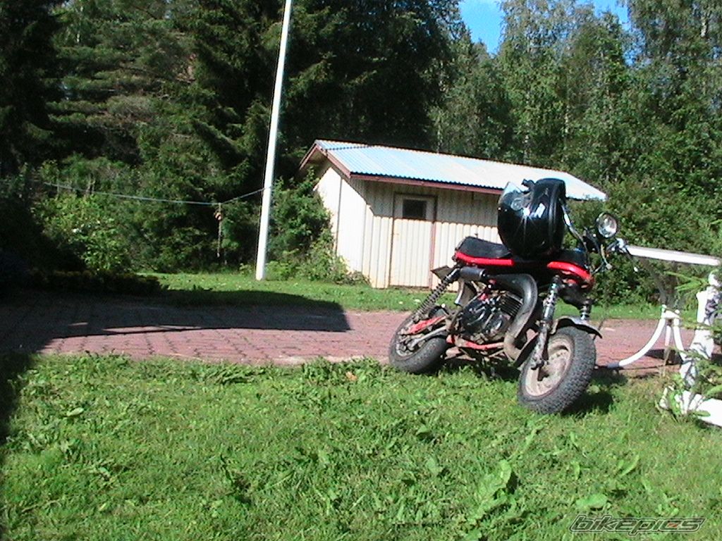 Photo 1329299