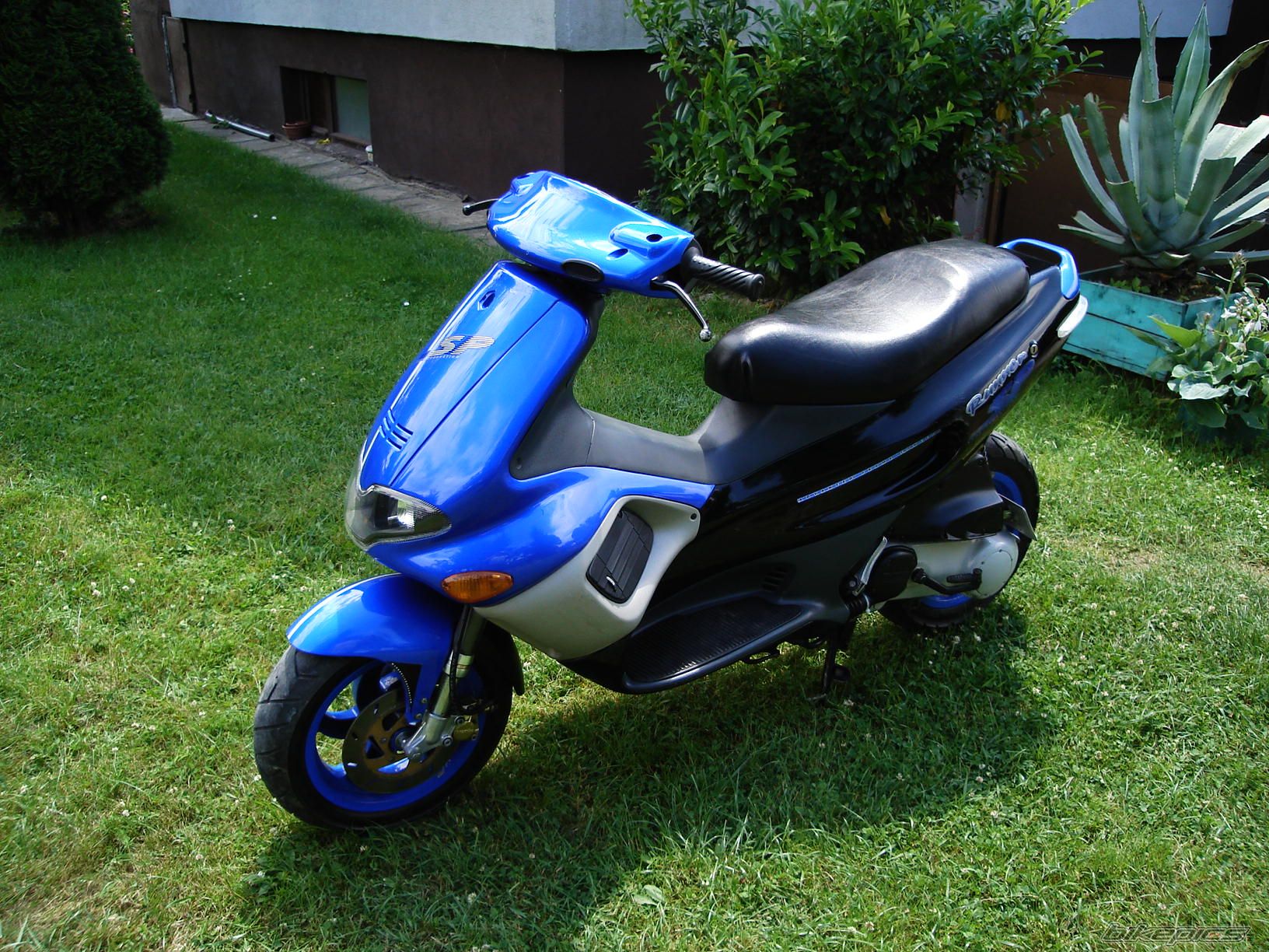 Photo 1329346
