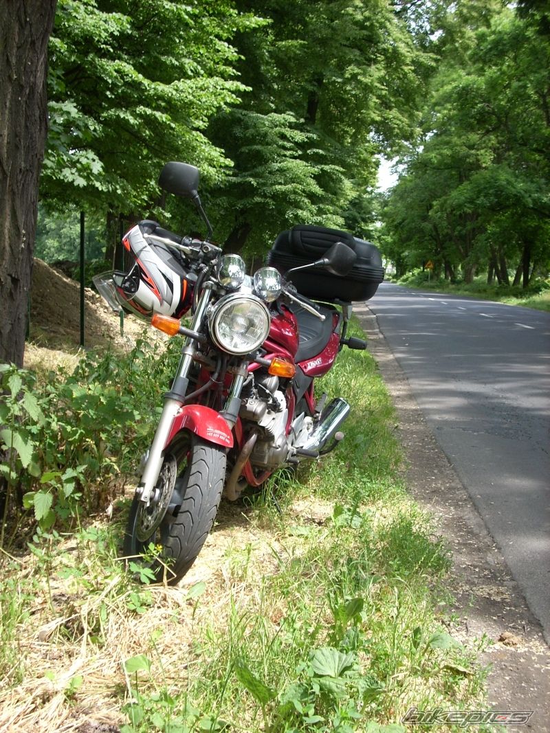 Bike Photo 1329351