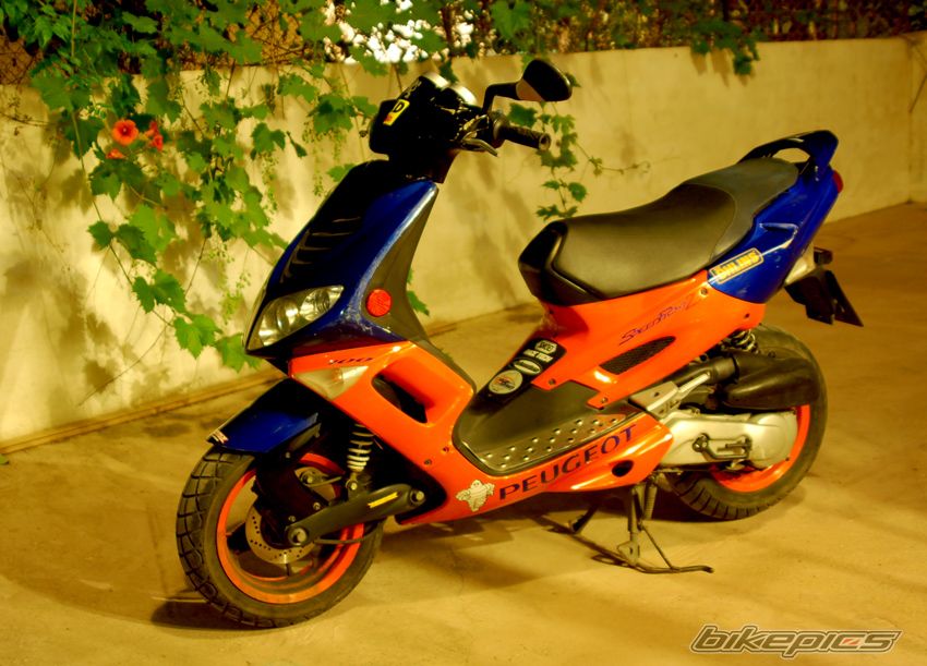 Photo 1329444