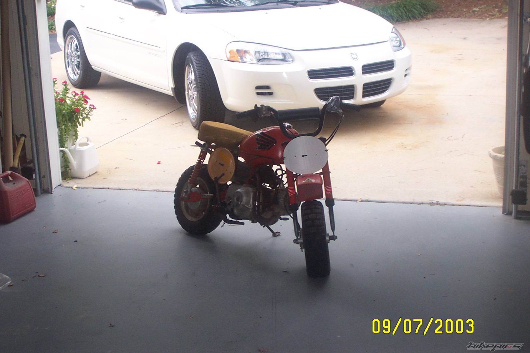 Photo 132952