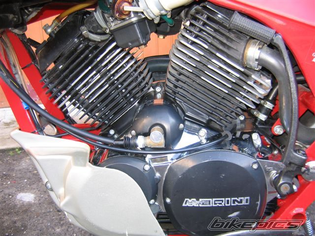 Bike Photo 1329635