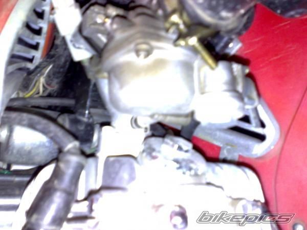 Photo 1329674