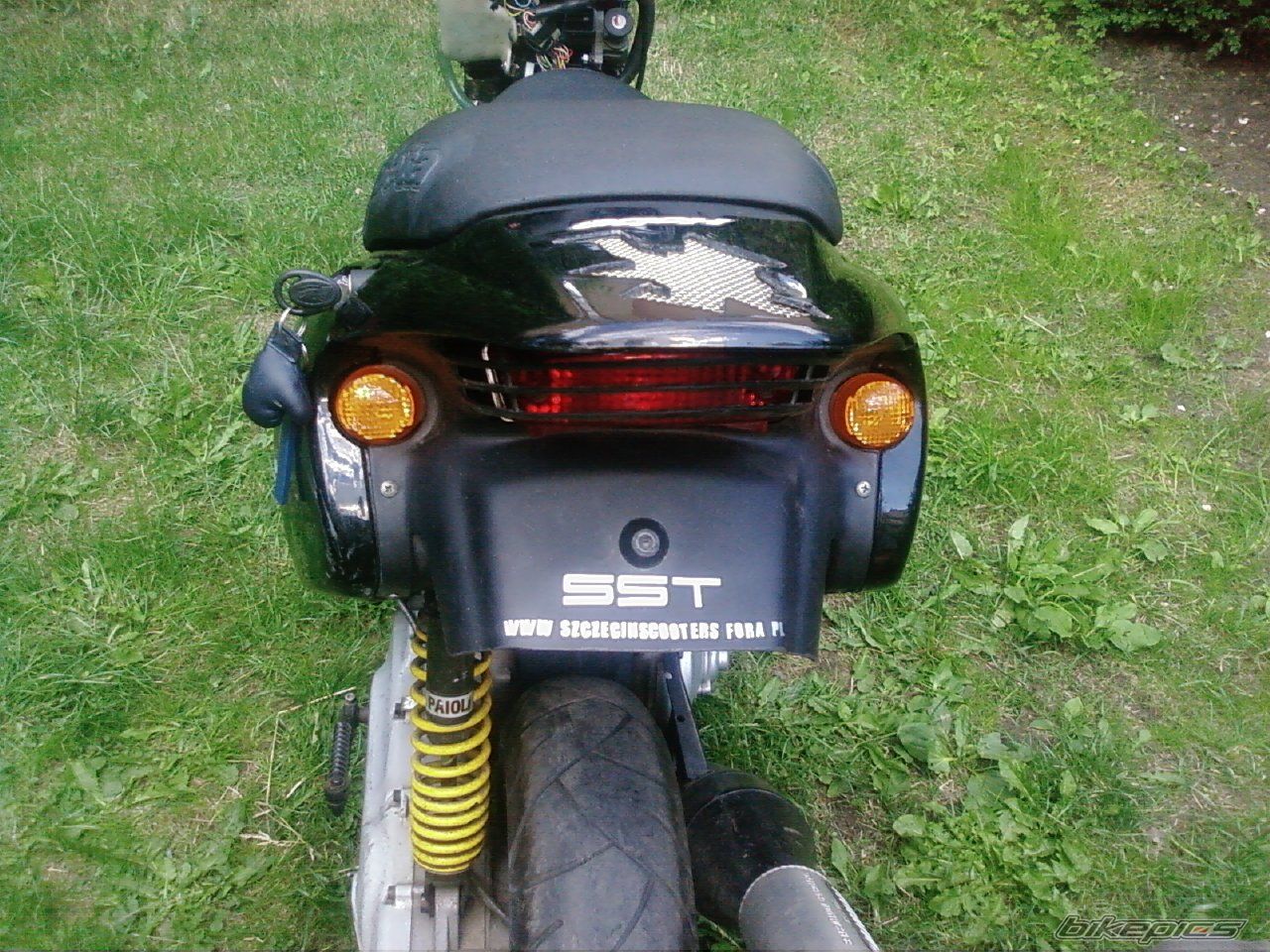 Photo 1329683