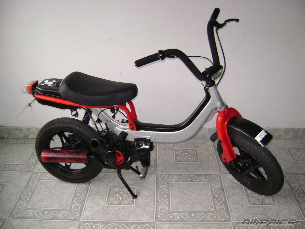 Photo 1329712