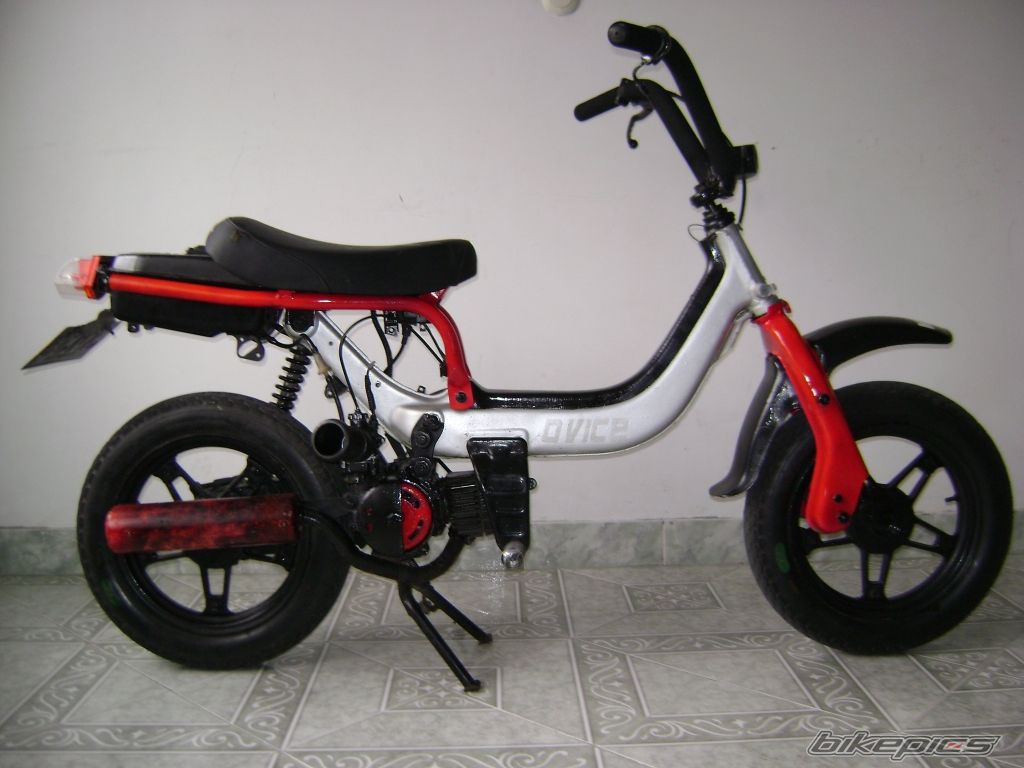 Photo 1329715