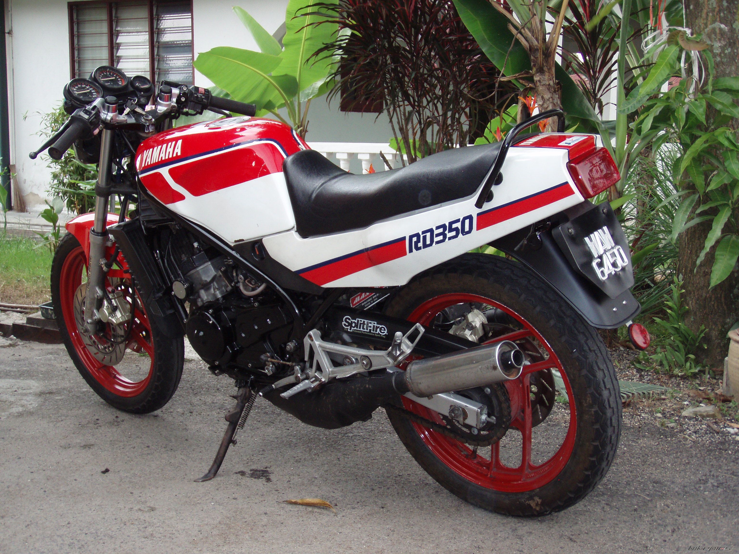 Bike Photo 1329779