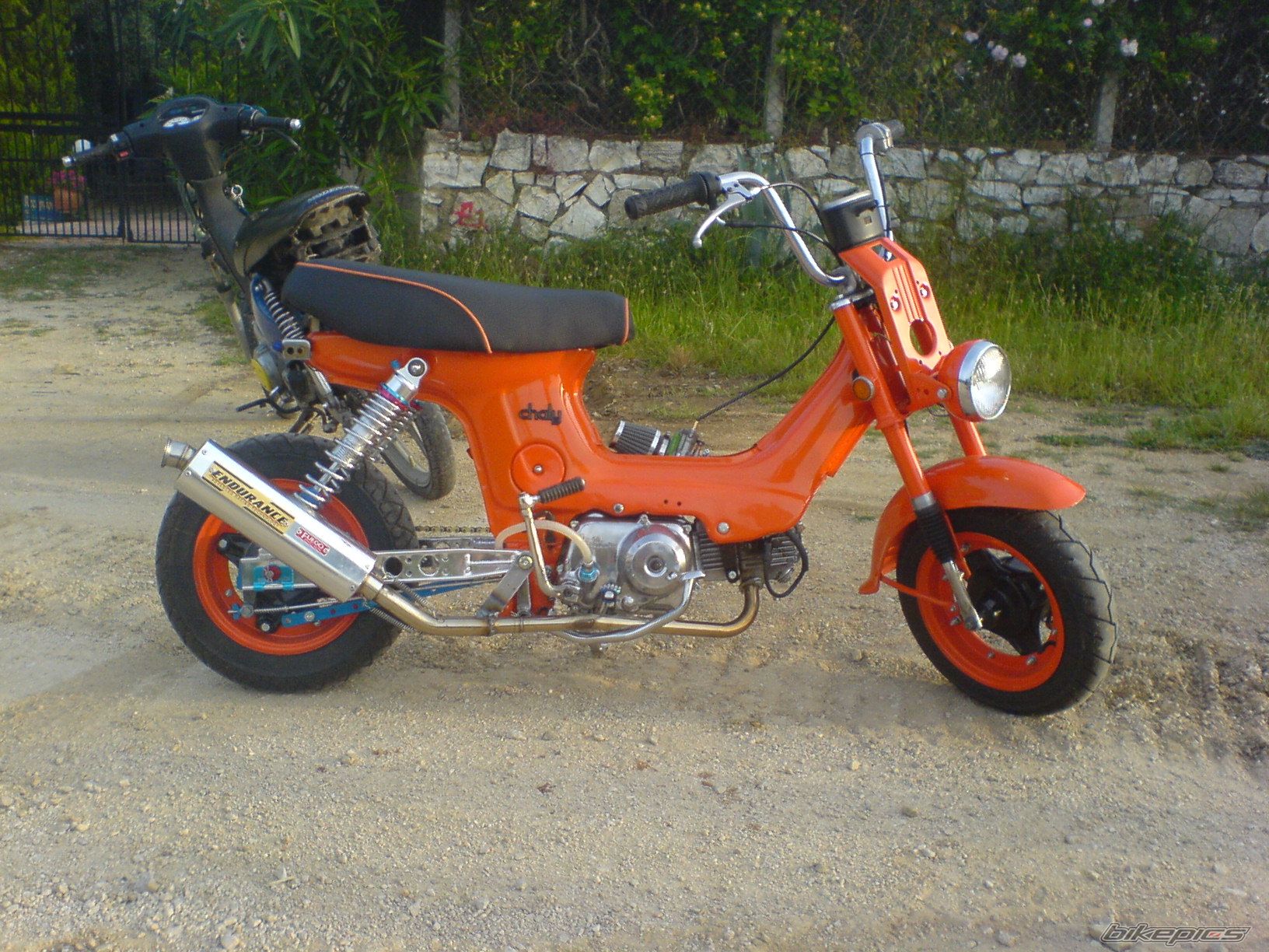 Photo 1329790