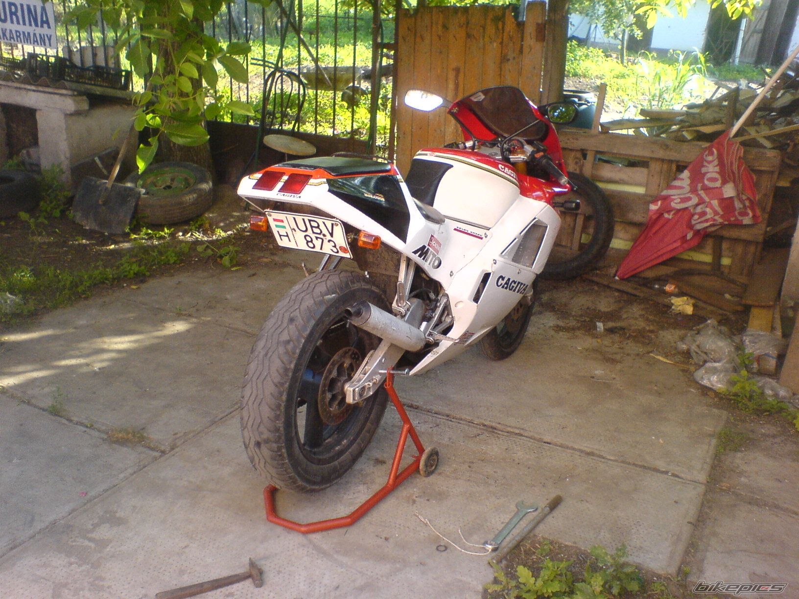 Photo 1329793