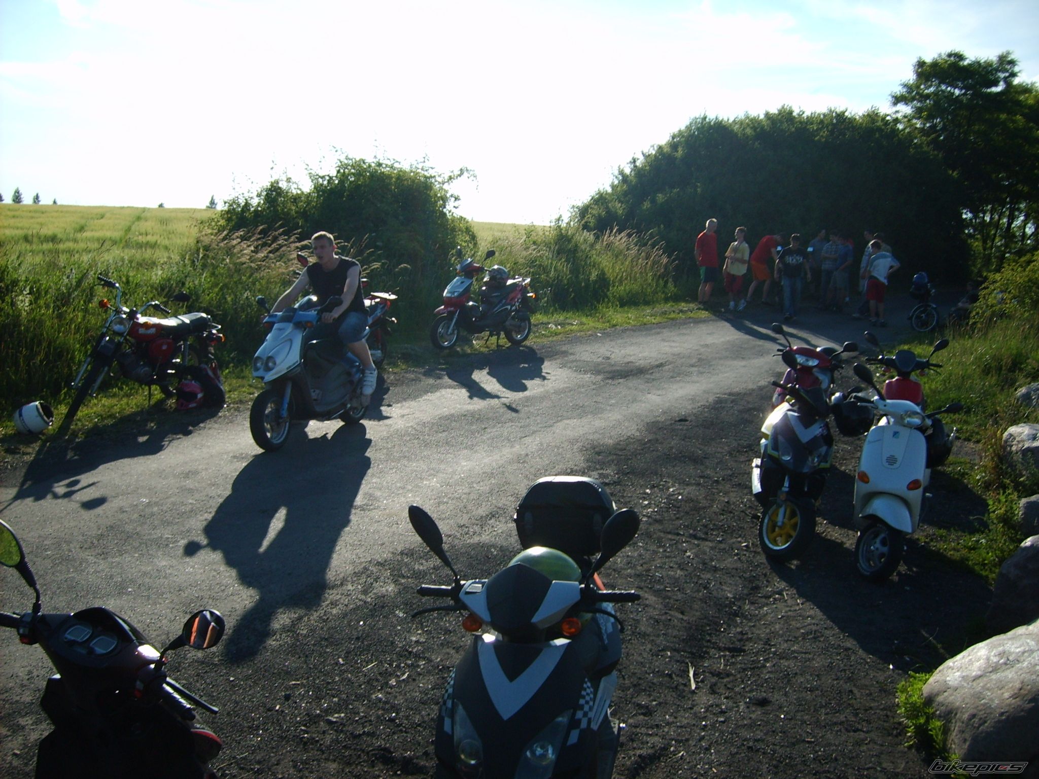 Photo 1329811