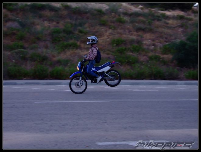 Bike Photo 1329965