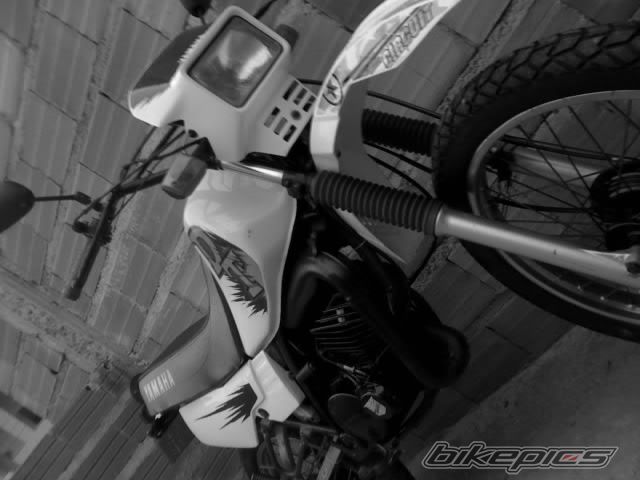 Photo 1330110