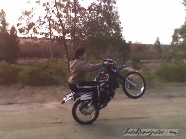 Photo 1330151