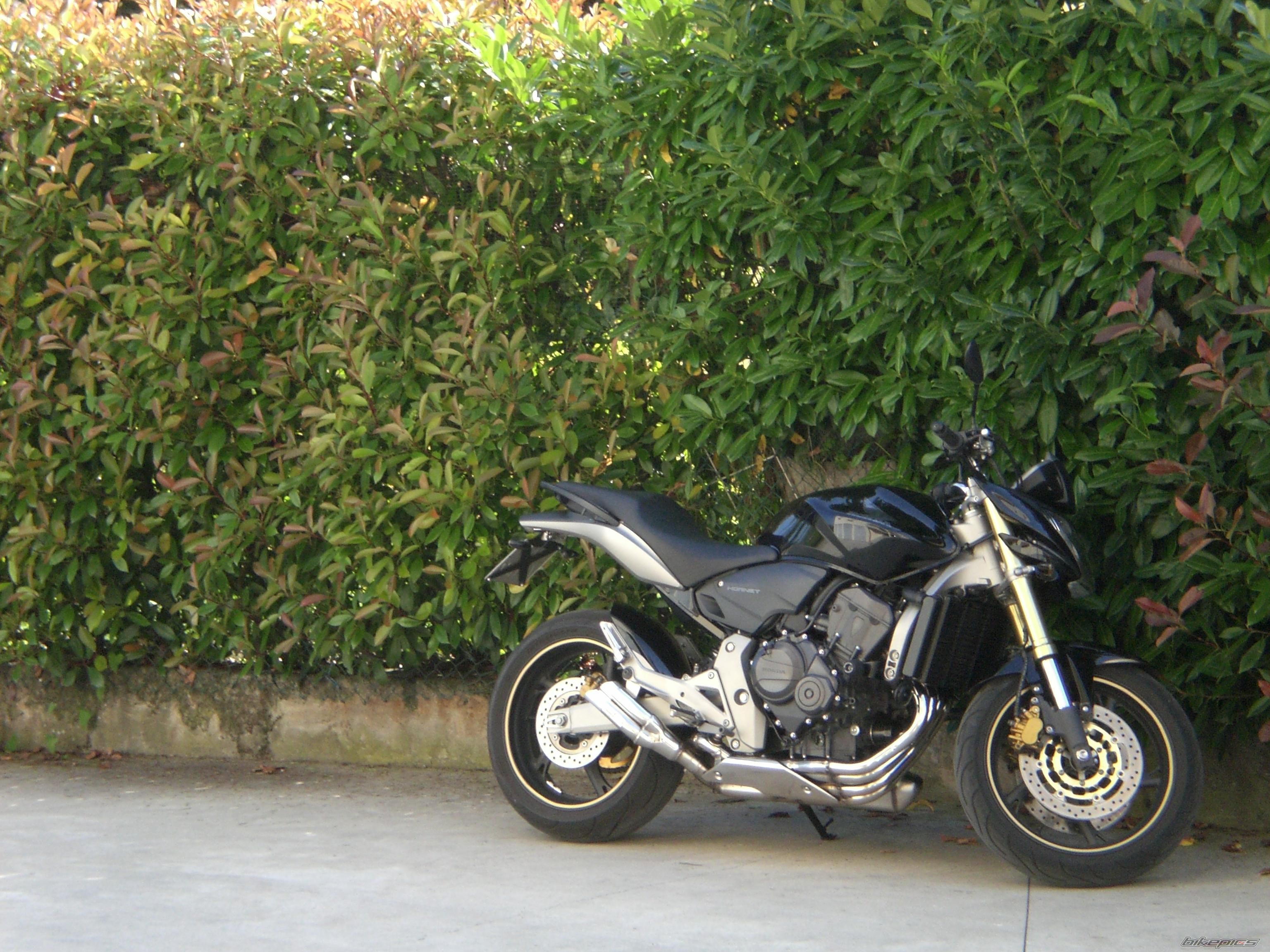Photo 1330152