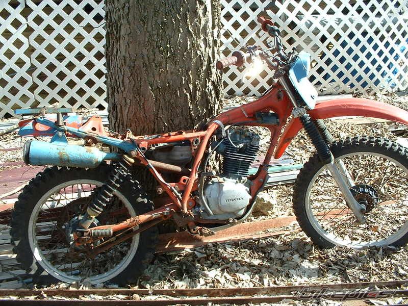 Bike Photo 1330196