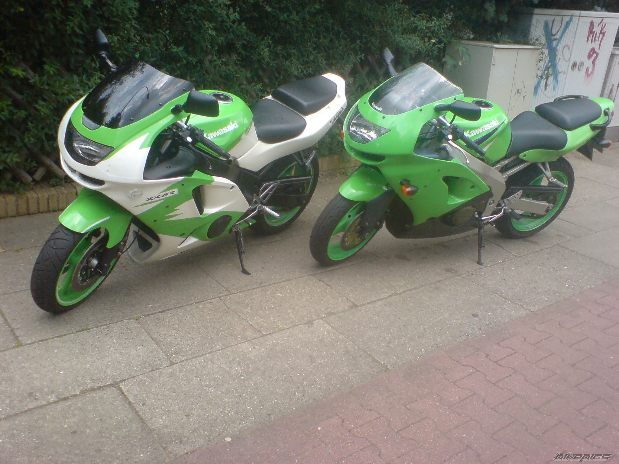 Photo 1330228