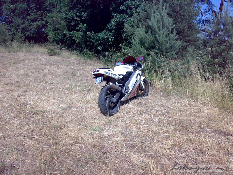 Photo 1330354