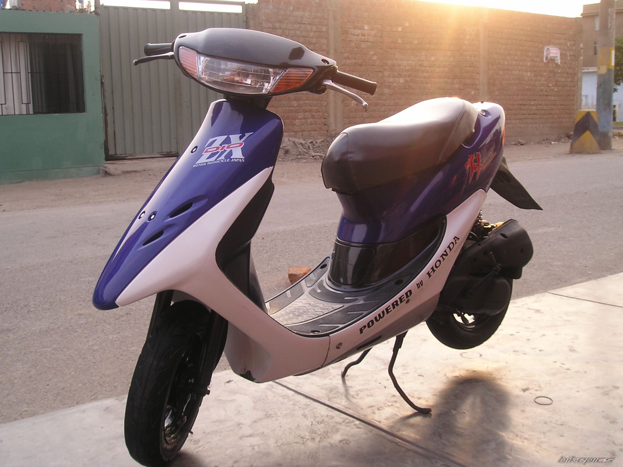 Photo 1330429