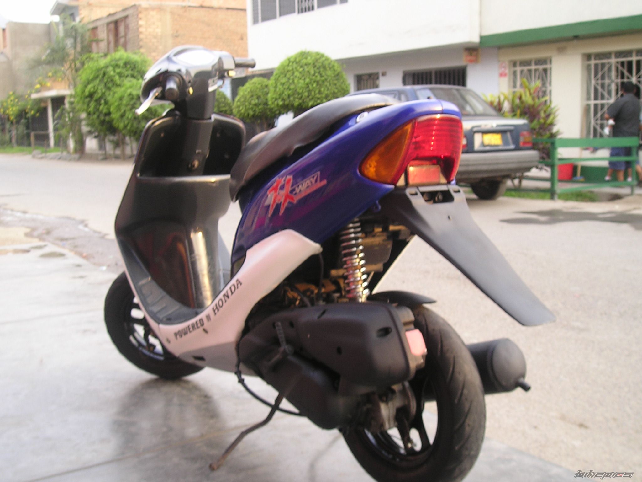 Photo 1330432