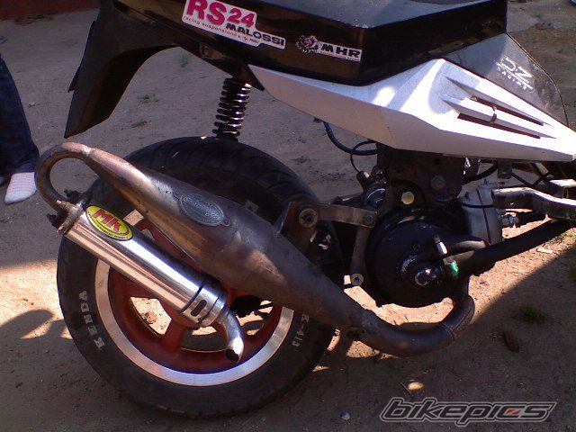 Photo 1330443