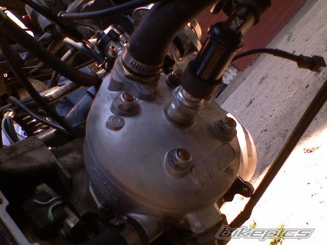 Photo 1330453