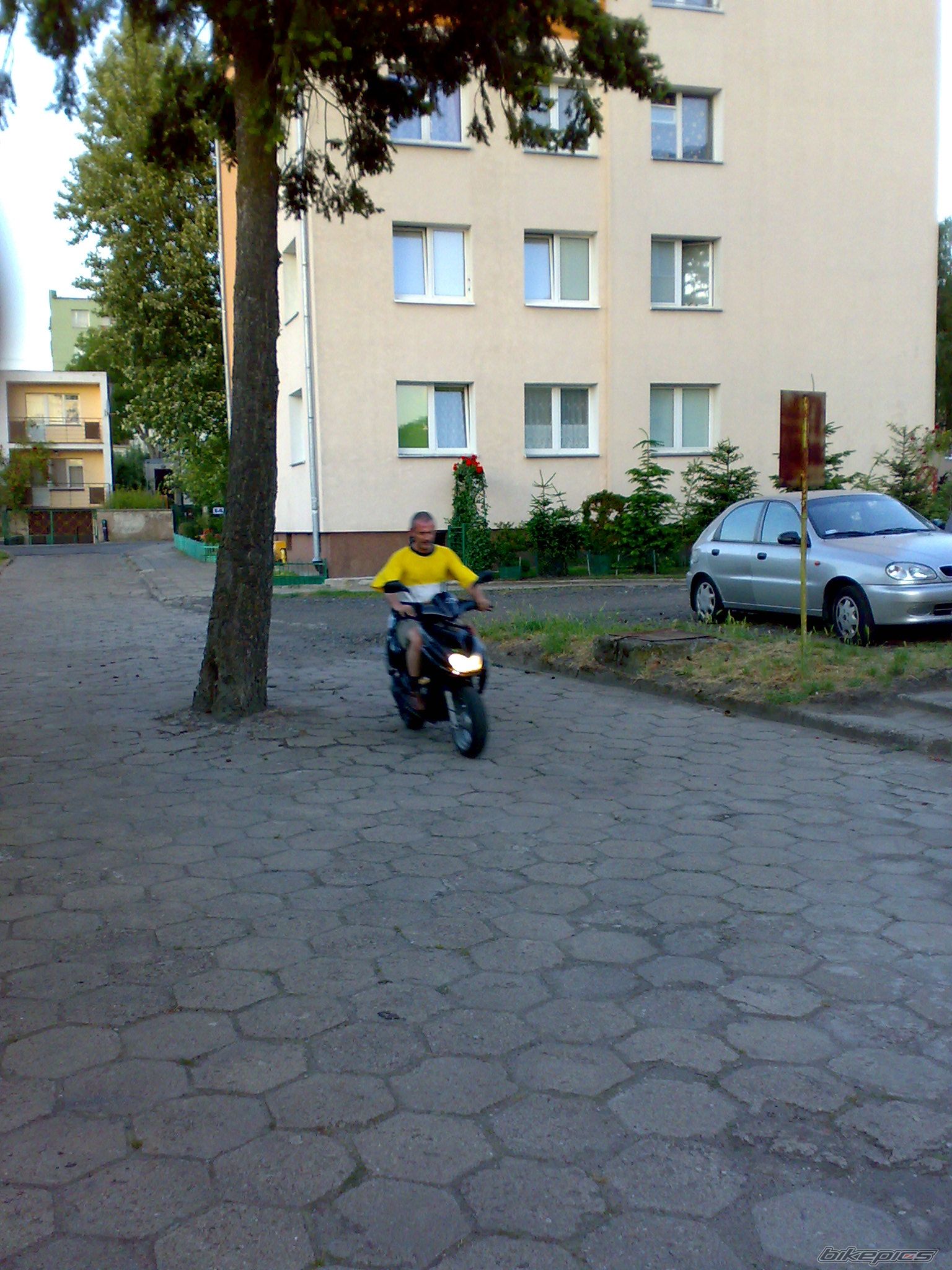 Photo 1330959