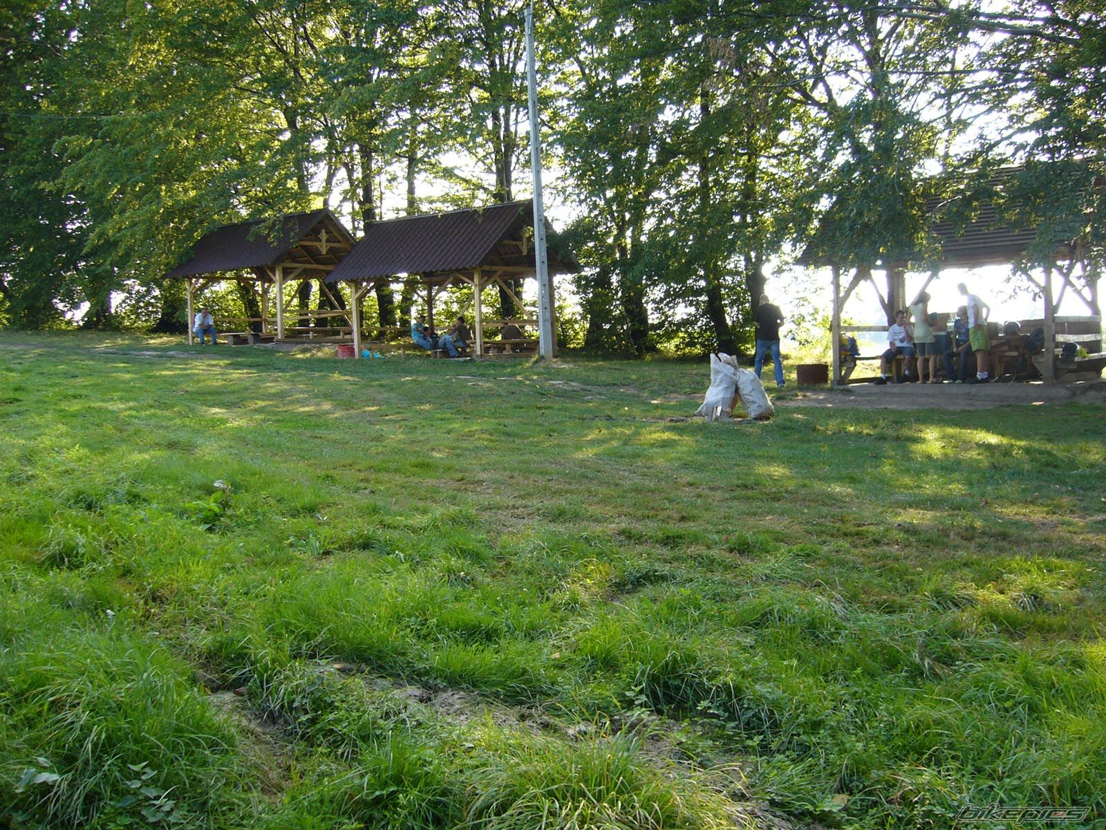 Photo 1331039