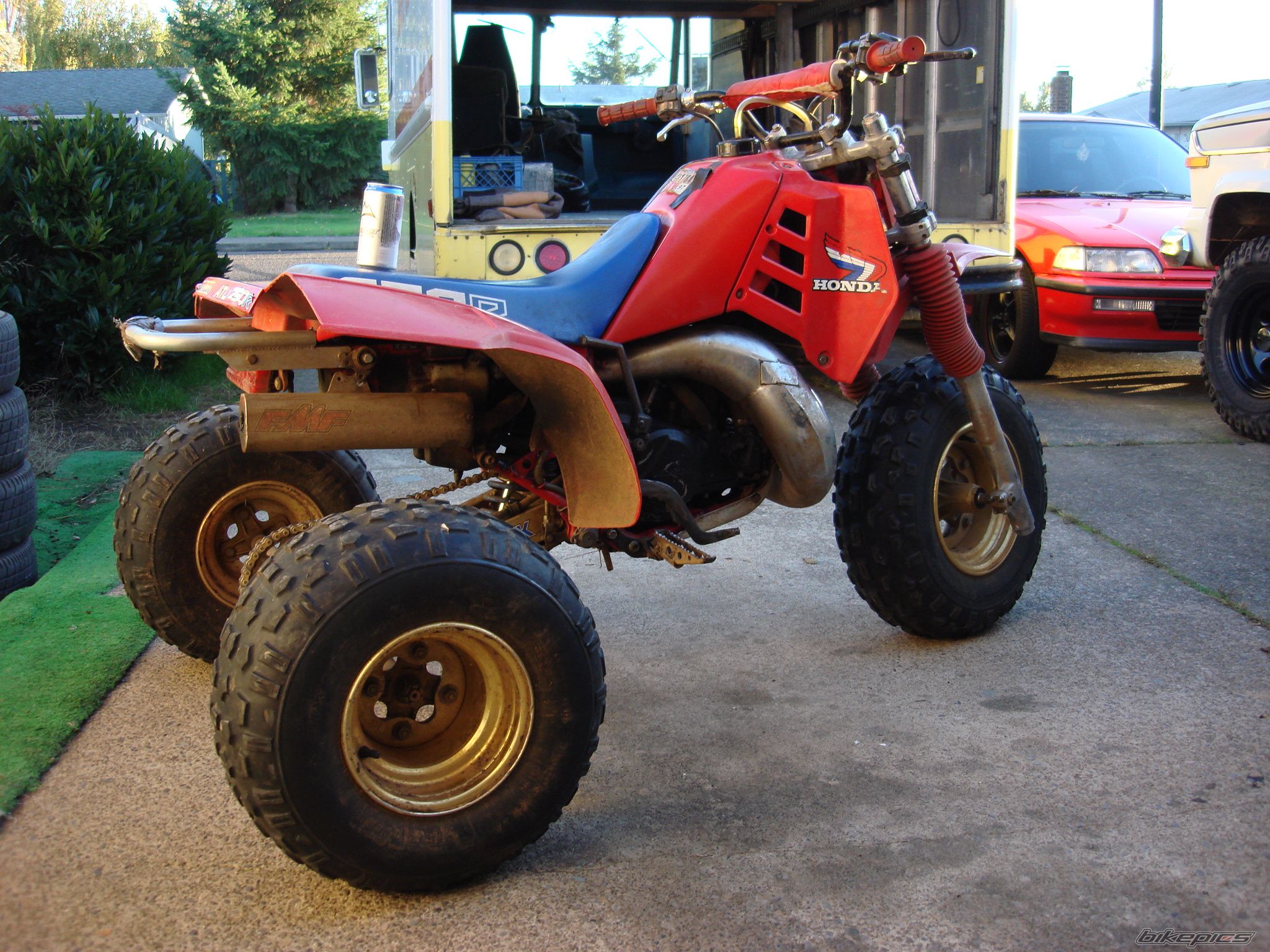 Photo 1331048