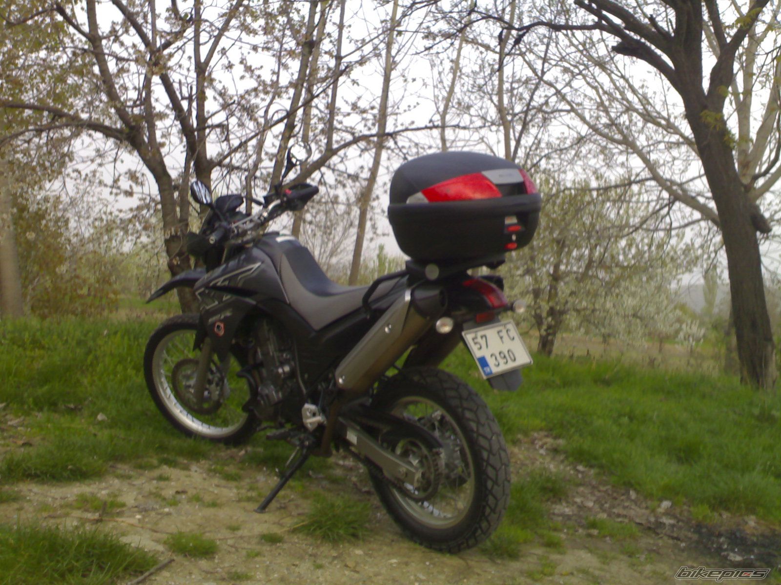Photo 1331051