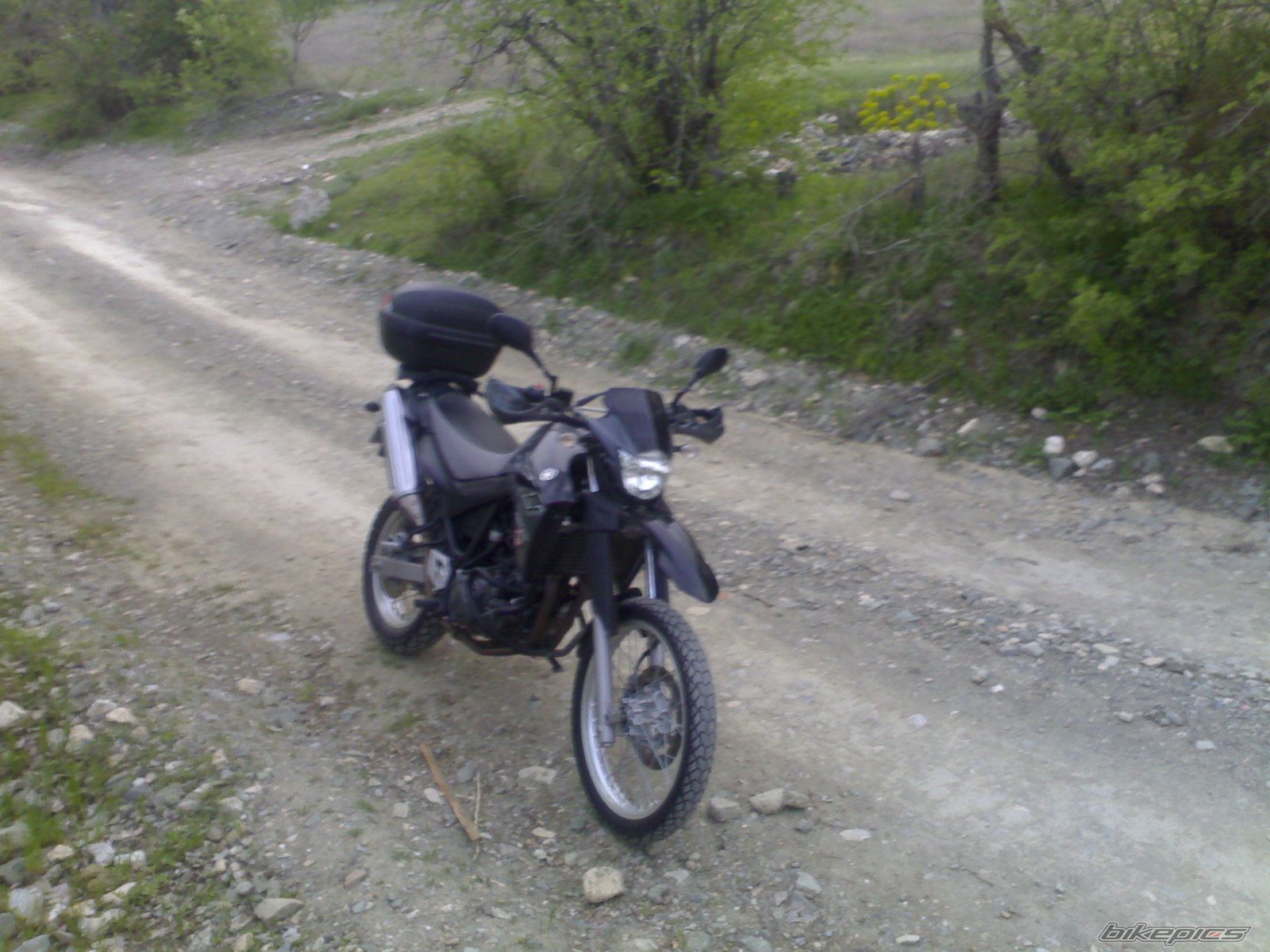 Photo 1331056