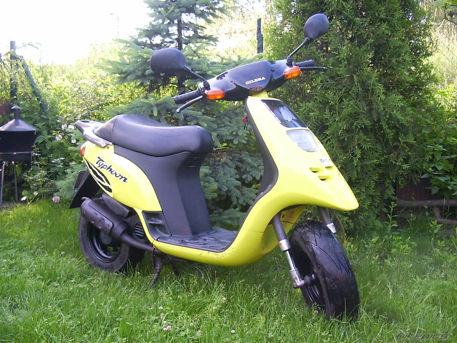 Photo 1331089